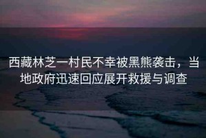 西藏林芝一村民不幸被黑熊襲擊，當(dāng)?shù)卣杆倩貞?yīng)展開救援與調(diào)查