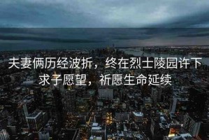 夫妻倆歷經(jīng)波折，終在烈士陵園許下求子愿望，祈愿生命延續(xù)