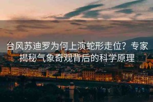 臺(tái)風(fēng)蘇迪羅為何上演蛇形走位？專家揭秘氣象奇觀背后的科學(xué)原理