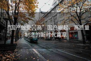 “國(guó)產(chǎn)做受?高”國(guó)產(chǎn)崛起，高質(zhì)量制造的新時(shí)代篇章