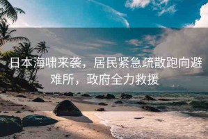 日本海嘯來襲，居民緊急疏散跑向避難所，政府全力救援