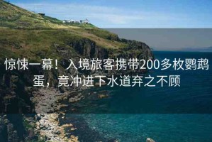 驚悚一幕！入境旅客攜帶200多枚鸚鵡蛋，竟沖進下水道棄之不顧