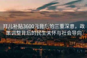 育兒補貼3600元背后的三重深意，政策調(diào)整背后的民生關懷與社會導向