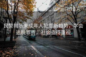 民警揭示未成年人犯罪新趨勢，學會逃脫罪責，社會亟待重視
