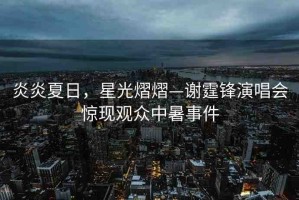 炎炎夏日，星光熠熠—謝霆鋒演唱會(huì)驚現(xiàn)觀眾中暑事件