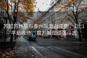 蘇超蘇州隊與泰州隊激戰(zhàn)正酣，1比1平局收場，雙方展現(xiàn)頑強斗志