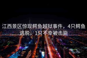 江西景區(qū)驚現(xiàn)鱷魚越獄事件，4只鱷魚逃脫，1只不幸被擊斃