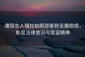 遭陌生人強拉拍照游客稱無需賠償，彰顯法律意識與寬容精神