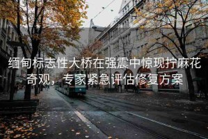 緬甸標(biāo)志性大橋在強(qiáng)震中驚現(xiàn)擰麻花奇觀，專家緊急評(píng)估修復(fù)方案