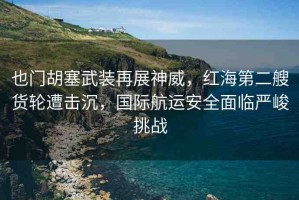 也門胡塞武裝再展神威，紅海第二艘貨輪遭擊沉，國際航運安全面臨嚴(yán)峻挑戰(zhàn)