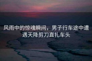 風(fēng)雨中的驚魂瞬間，男子行車途中遭遇天降剪刀直扎車頭