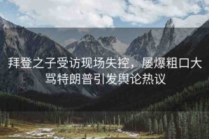 拜登之子受訪現(xiàn)場失控，屢爆粗口大罵特朗普引發(fā)輿論熱議