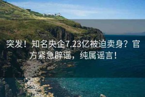 突發(fā)！知名央企7.23億被迫賣身？官方緊急辟謠，純屬謠言！