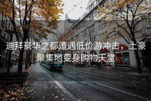 迪拜豪華之都遭遇低價游沖擊，土豪聚集地變身購物天堂
