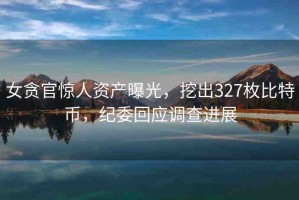 女貪官驚人資產(chǎn)曝光，挖出327枚比特幣，紀(jì)委回應(yīng)調(diào)查進(jìn)展
