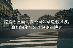 趙露思直面助農(nóng)公司公章造假風(fēng)波，真相揭秘與公眾輿論的博弈
