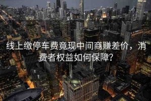 線上繳停車費(fèi)竟現(xiàn)中間商賺差價(jià)，消費(fèi)者權(quán)益如何保障？