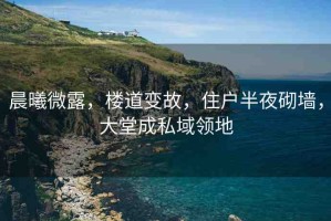 晨曦微露，樓道變故，住戶半夜砌墻，大堂成私域領(lǐng)地