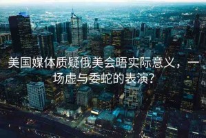 美國(guó)媒體質(zhì)疑俄美會(huì)晤實(shí)際意義，一場(chǎng)虛與委蛇的表演？