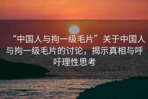 “中國人與拘一級毛片”關(guān)于中國人與拘一級毛片的討論，揭示真相與呼吁理性思考