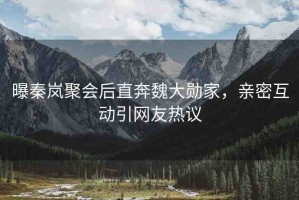 曝秦嵐聚會(huì)后直奔魏大勛家，親密互動(dòng)引網(wǎng)友熱議