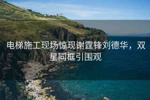 電梯施工現(xiàn)場驚現(xiàn)謝霆鋒劉德華，雙星同框引圍觀