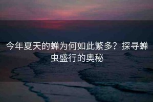 今年夏天的蟬為何如此繁多？探尋蟬蟲盛行的奧秘