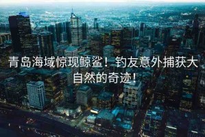 青島海域驚現(xiàn)鯨鯊！釣友意外捕獲大自然的奇跡！
