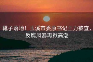 靴子落地！玉溪市委原書記王力被查，反腐風(fēng)暴再掀高潮