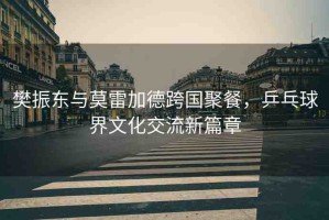 樊振東與莫雷加德跨國(guó)聚餐，乒乓球界文化交流新篇章