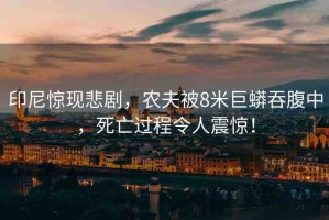 印尼驚現(xiàn)悲劇，農(nóng)夫被8米巨蟒吞腹中，死亡過(guò)程令人震驚！