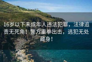 16歲以下未成年人違法犯罪，法律追責(zé)無死角！警方重拳出擊，逃犯無處藏身！