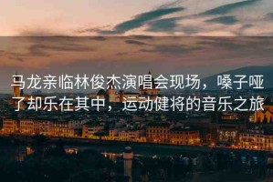 馬龍親臨林俊杰演唱會(huì)現(xiàn)場(chǎng)，嗓子啞了卻樂在其中，運(yùn)動(dòng)健將的音樂之旅