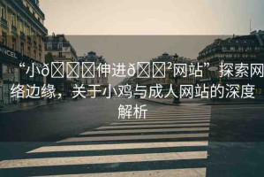 “小??伸進(jìn)??網(wǎng)站”探索網(wǎng)絡(luò)邊緣，關(guān)于小雞與成人網(wǎng)站的深度解析