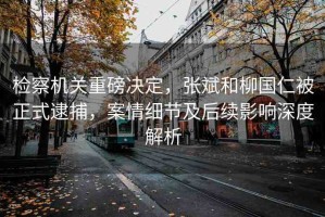 檢察機(jī)關(guān)重磅決定，張斌和柳國仁被正式逮捕，案情細(xì)節(jié)及后續(xù)影響深度解析