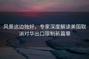 風(fēng)景這邊獨(dú)好，專家深度解讀美國取消對華出口限制新篇章