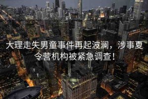 大理走失男童事件再起波瀾，涉事夏令營(yíng)機(jī)構(gòu)被緊急調(diào)查！
