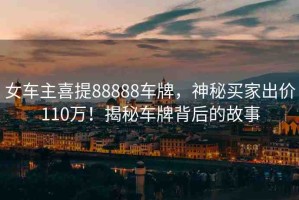 女車主喜提88888車牌，神秘買家出價110萬！揭秘車牌背后的故事