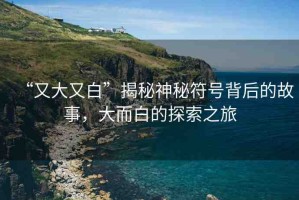 “又大又白”揭秘神秘符號背后的故事，大而白的探索之旅