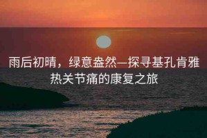 雨后初晴，綠意盎然—探尋基孔肯雅熱關(guān)節(jié)痛的康復(fù)之旅