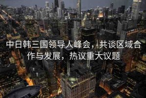 中日韓三國(guó)領(lǐng)導(dǎo)人峰會(huì)，共談區(qū)域合作與發(fā)展，熱議重大議題