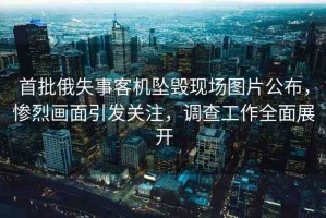 首批俄失事客機(jī)墜毀現(xiàn)場(chǎng)圖片公布，慘烈畫(huà)面引發(fā)關(guān)注，調(diào)查工作全面展開(kāi)