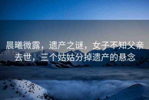 晨曦微露，遺產(chǎn)之謎，女子不知父親去世，三個姑姑分掉遺產(chǎn)的懸念
