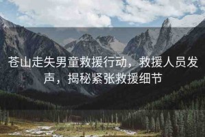 蒼山走失男童救援行動(dòng)，救援人員發(fā)聲，揭秘緊張救援細(xì)節(jié)