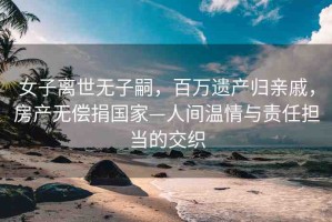 女子離世無子嗣，百萬遺產(chǎn)歸親戚，房產(chǎn)無償捐國家—人間溫情與責(zé)任擔(dān)當(dāng)?shù)慕豢? title=