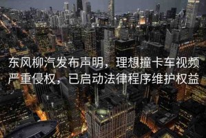 東風(fēng)柳汽發(fā)布聲明，理想撞卡車視頻嚴重侵權(quán)，已啟動法律程序維護權(quán)益