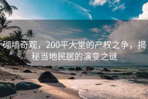 砌墻奇觀，200平大堂的產(chǎn)權(quán)之爭(zhēng)，揭秘當(dāng)?shù)孛窬拥难葑冎i