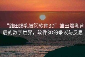 “雛田爆乳被?軟件3D”雛田爆乳背后的數(shù)字世界，軟件3D的爭議與反思