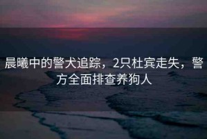 晨曦中的警犬追蹤，2只杜賓走失，警方全面排查養(yǎng)狗人