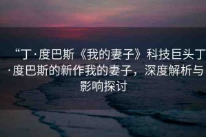 “丁·度巴斯《我的妻子》科技巨頭丁·度巴斯的新作我的妻子，深度解析與影響探討